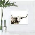Picture of Jackson, The Bull  _GroupedProduct_Rectangle_Landscape_Photography _GroupedProduct_Rectangle_Landscape_Unframed_Print_Only_