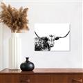 Picture of Jackson, The Bull  _GroupedProduct_Rectangle_Landscape_Photography _GroupedProduct_Rectangle_Landscape_Unframed_Print_Only_