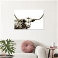 Picture of Jackson, The Bull  _GroupedProduct_Rectangle_Landscape_Photography _GroupedProduct_Rectangle_Landscape_Unframed_Print_Only_