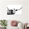 Picture of Jackson, The Bull  _GroupedProduct_Rectangle_Landscape_Photography _GroupedProduct_Rectangle_Landscape_Unframed_Print_Only_