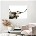 Picture of Jackson, The Bull  _GroupedProduct_Rectangle_Landscape_Photography _GroupedProduct_Rectangle_Landscape_Unframed_Print_Only_