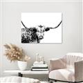 Picture of Jackson, The Bull  _GroupedProduct_Rectangle_Landscape_Photography _GroupedProduct_Rectangle_Landscape_Unframed_Print_Only_
