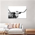 Picture of Jackson, The Bull  _GroupedProduct_Rectangle_Landscape_Photography _GroupedProduct_Rectangle_Landscape_Unframed_Print_Only_