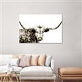 Picture of Jackson, The Bull  _GroupedProduct_Rectangle_Landscape_Photography _GroupedProduct_Rectangle_Landscape_Unframed_Print_Only_