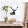 Picture of James, the Stag  _GroupedProduct_Square_Photography _GroupedProduct_Square_Unframed_Print_Only_