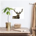 Picture of James, the Stag  _GroupedProduct_Square_Photography _GroupedProduct_Square_Unframed_Print_Only_