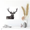 Picture of James, the Stag  _GroupedProduct_Square_Photography _GroupedProduct_Square_Unframed_Print_Only_