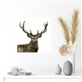 Picture of James, the Stag  _GroupedProduct_Square_Photography _GroupedProduct_Square_Unframed_Print_Only_
