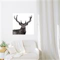 Picture of James, the Stag  _GroupedProduct_Square_Photography _GroupedProduct_Square_Unframed_Print_Only_