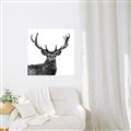 Picture of James, the Stag  _GroupedProduct_Square_Photography _GroupedProduct_Square_Unframed_Print_Only_