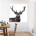 Picture of James, the Stag  _GroupedProduct_Square_Photography _GroupedProduct_Square_Unframed_Print_Only_