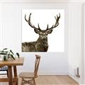 Picture of James, the Stag  _GroupedProduct_Square_Photography _GroupedProduct_Square_Unframed_Print_Only_