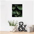Picture of Jungle Leaves  _GroupedProduct_Rectangle_Portrait_Photography _GroupedProduct_Rectangle_Portrait_Unframed_Print_Only_