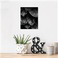 Picture of Jungle Leaves  _GroupedProduct_Rectangle_Portrait_Photography _GroupedProduct_Rectangle_Portrait_Unframed_Print_Only_