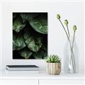 Picture of Jungle Leaves  _GroupedProduct_Rectangle_Portrait_Photography _GroupedProduct_Rectangle_Portrait_Unframed_Print_Only_