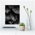 Picture of Jungle Leaves  _GroupedProduct_Rectangle_Portrait_Photography _GroupedProduct_Rectangle_Portrait_Unframed_Print_Only_