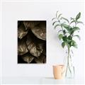 Picture of Jungle Leaves  _GroupedProduct_Rectangle_Portrait_Photography _GroupedProduct_Rectangle_Portrait_Unframed_Print_Only_