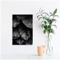 Picture of Jungle Leaves  _GroupedProduct_Rectangle_Portrait_Photography _GroupedProduct_Rectangle_Portrait_Unframed_Print_Only_