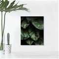 Picture of Jungle Leaves  _GroupedProduct_Rectangle_Portrait_Photography _GroupedProduct_Rectangle_Portrait_Unframed_Print_Only_