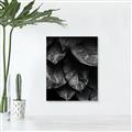 Picture of Jungle Leaves  _GroupedProduct_Rectangle_Portrait_Photography _GroupedProduct_Rectangle_Portrait_Unframed_Print_Only_