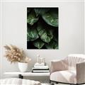 Picture of Jungle Leaves  _GroupedProduct_Rectangle_Portrait_Photography _GroupedProduct_Rectangle_Portrait_Unframed_Print_Only_