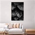 Picture of Jungle Leaves  _GroupedProduct_Rectangle_Portrait_Photography _GroupedProduct_Rectangle_Portrait_Unframed_Print_Only_