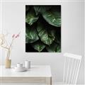Picture of Jungle Leaves  _GroupedProduct_Rectangle_Portrait_Photography _GroupedProduct_Rectangle_Portrait_Unframed_Print_Only_