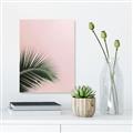 Picture of Leaves on Pink _GroupedProduct_Rectangle_Portrait_Photography _GroupedProduct_Rectangle_Portrait_Unframed_Print_Only_