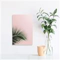 Picture of Leaves on Pink _GroupedProduct_Rectangle_Portrait_Photography _GroupedProduct_Rectangle_Portrait_Unframed_Print_Only_