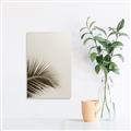 Picture of Leaves on Pink _GroupedProduct_Rectangle_Portrait_Photography _GroupedProduct_Rectangle_Portrait_Unframed_Print_Only_