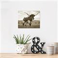 Picture of Life of a Bull _GroupedProduct_Rectangle_Landscape_Photography _GroupedProduct_Rectangle_Landscape_Unframed_Print_Only_