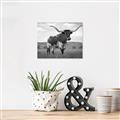 Picture of Life of a Bull _GroupedProduct_Rectangle_Landscape_Photography _GroupedProduct_Rectangle_Landscape_Unframed_Print_Only_