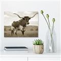 Picture of Life of a Bull _GroupedProduct_Rectangle_Landscape_Photography _GroupedProduct_Rectangle_Landscape_Unframed_Print_Only_