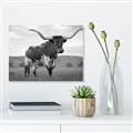 Picture of Life of a Bull _GroupedProduct_Rectangle_Landscape_Photography _GroupedProduct_Rectangle_Landscape_Unframed_Print_Only_