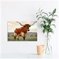 Picture of Life of a Bull _GroupedProduct_Rectangle_Landscape_Photography _GroupedProduct_Rectangle_Landscape_Unframed_Print_Only_