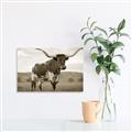 Picture of Life of a Bull _GroupedProduct_Rectangle_Landscape_Photography _GroupedProduct_Rectangle_Landscape_Unframed_Print_Only_