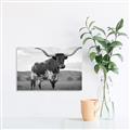Picture of Life of a Bull _GroupedProduct_Rectangle_Landscape_Photography _GroupedProduct_Rectangle_Landscape_Unframed_Print_Only_
