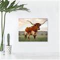 Picture of Life of a Bull _GroupedProduct_Rectangle_Landscape_Photography _GroupedProduct_Rectangle_Landscape_Unframed_Print_Only_