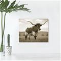 Picture of Life of a Bull _GroupedProduct_Rectangle_Landscape_Photography _GroupedProduct_Rectangle_Landscape_Unframed_Print_Only_