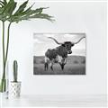 Picture of Life of a Bull _GroupedProduct_Rectangle_Landscape_Photography _GroupedProduct_Rectangle_Landscape_Unframed_Print_Only_