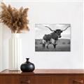 Picture of Life of a Bull _GroupedProduct_Rectangle_Landscape_Photography _GroupedProduct_Rectangle_Landscape_Unframed_Print_Only_