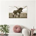 Picture of Life of a Bull _GroupedProduct_Rectangle_Landscape_Photography _GroupedProduct_Rectangle_Landscape_Unframed_Print_Only_