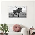 Picture of Life of a Bull _GroupedProduct_Rectangle_Landscape_Photography _GroupedProduct_Rectangle_Landscape_Unframed_Print_Only_