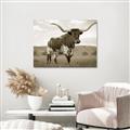 Picture of Life of a Bull _GroupedProduct_Rectangle_Landscape_Photography _GroupedProduct_Rectangle_Landscape_Unframed_Print_Only_