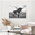 Picture of Life of a Bull _GroupedProduct_Rectangle_Landscape_Photography _GroupedProduct_Rectangle_Landscape_Unframed_Print_Only_