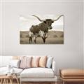 Picture of Life of a Bull _GroupedProduct_Rectangle_Landscape_Photography _GroupedProduct_Rectangle_Landscape_Unframed_Print_Only_