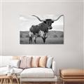 Picture of Life of a Bull _GroupedProduct_Rectangle_Landscape_Photography _GroupedProduct_Rectangle_Landscape_Unframed_Print_Only_