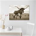 Picture of Life of a Bull _GroupedProduct_Rectangle_Landscape_Photography _GroupedProduct_Rectangle_Landscape_Unframed_Print_Only_