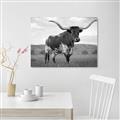 Picture of Life of a Bull _GroupedProduct_Rectangle_Landscape_Photography _GroupedProduct_Rectangle_Landscape_Unframed_Print_Only_