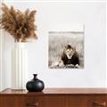 Picture of Lion Stare _GroupedProduct_Rectangle_Portrait_Photography _GroupedProduct_Rectangle_Portrait_Unframed_Print_Only_